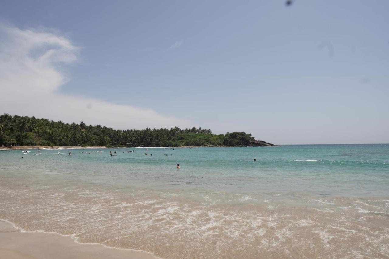 Surf Nest Hiriketiya Hotel Dikwella Kültér fotó